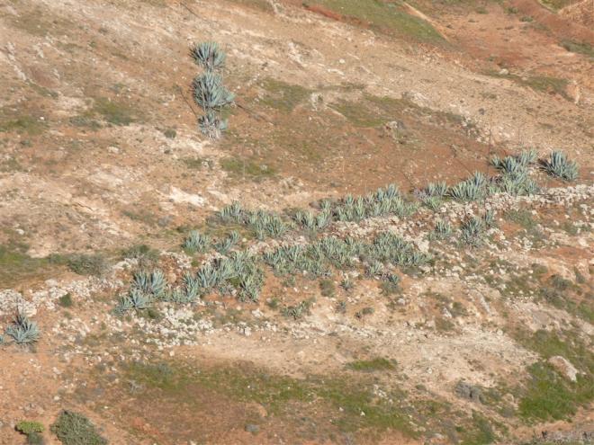 J10 descente de fuerteventura 19