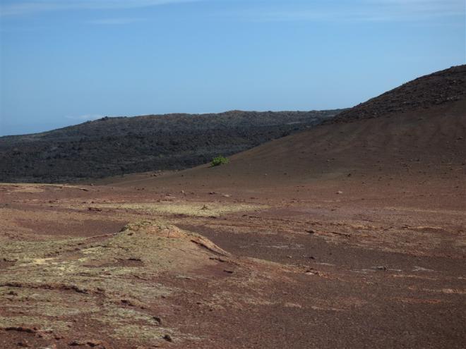 Lanzarote 5